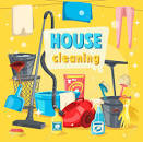 Reputable residential home cleaners with crew